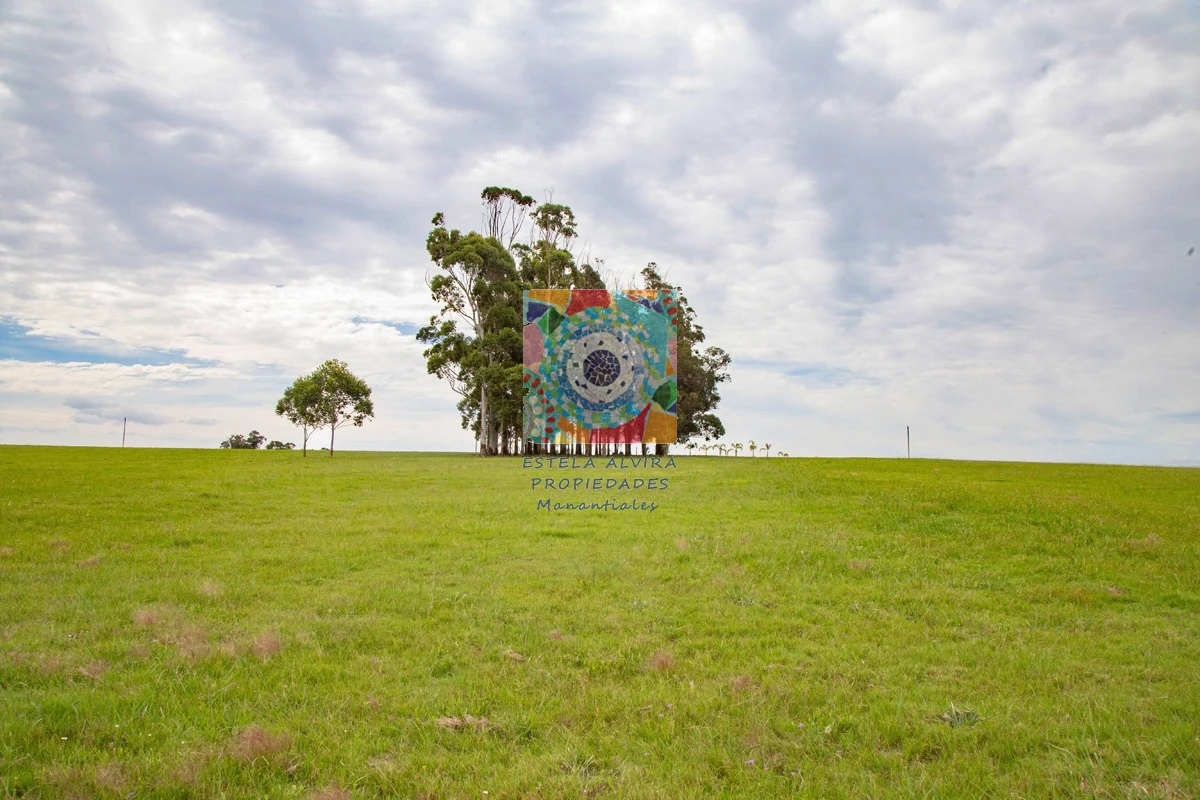 Chacra ID.14521 - 