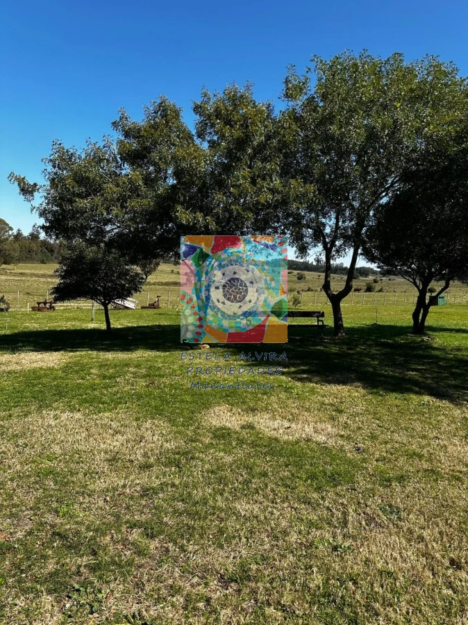 Chacra ID.730 - HERMOSA CHACRA 