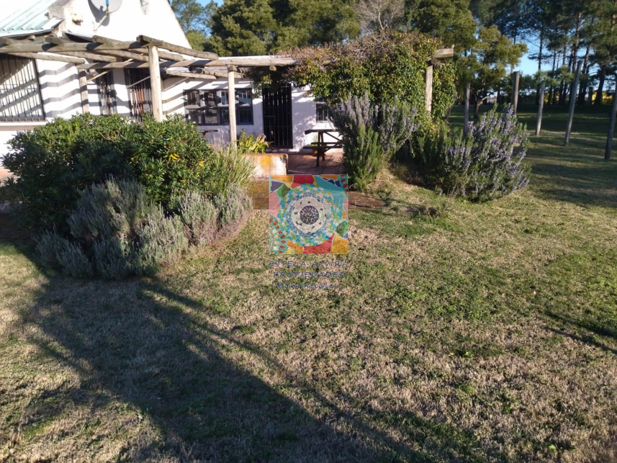 Chacra ID.14419 - 
