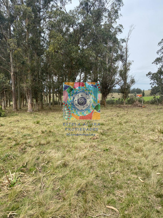 Chacra ID.14480 - 