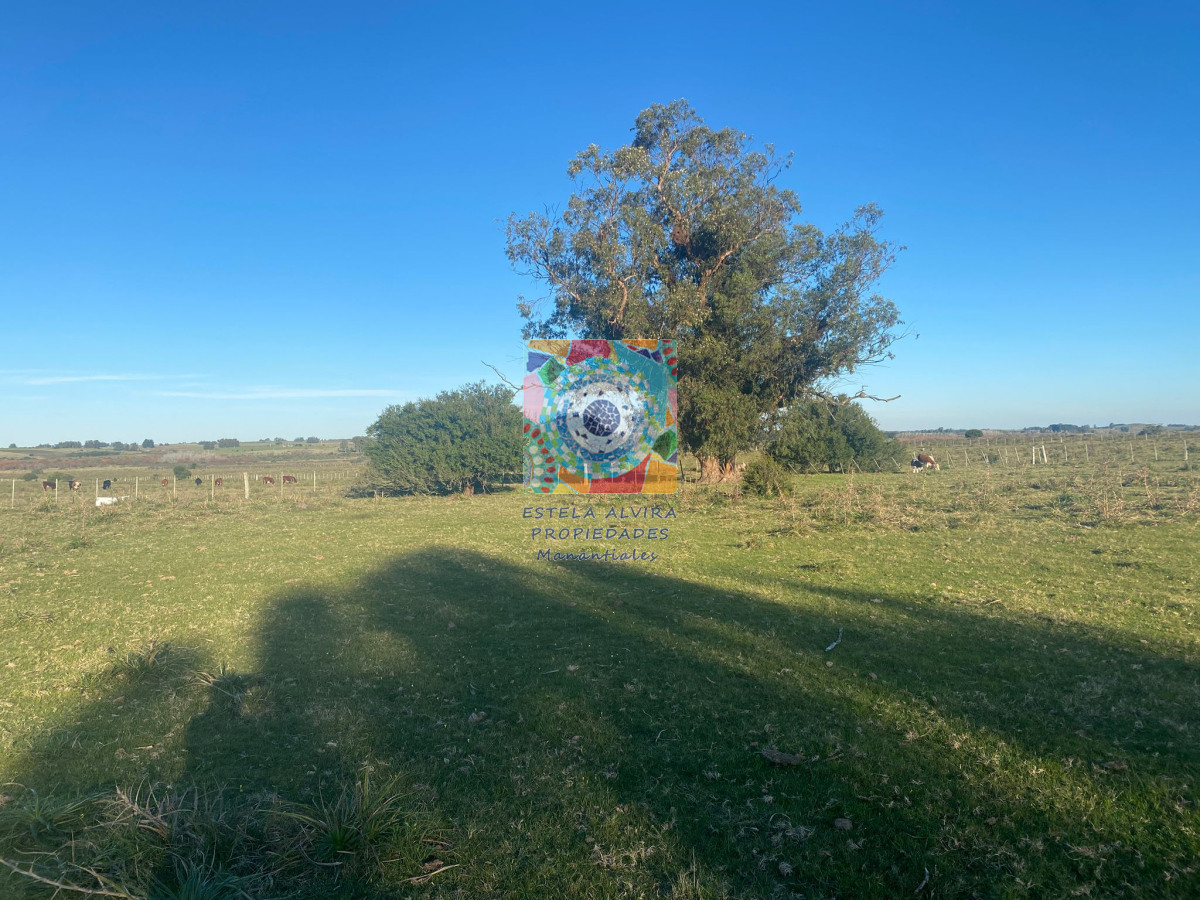 Zona Rural - GoPunta - Portal Inmobiliario de Punta del Este - Maldonado