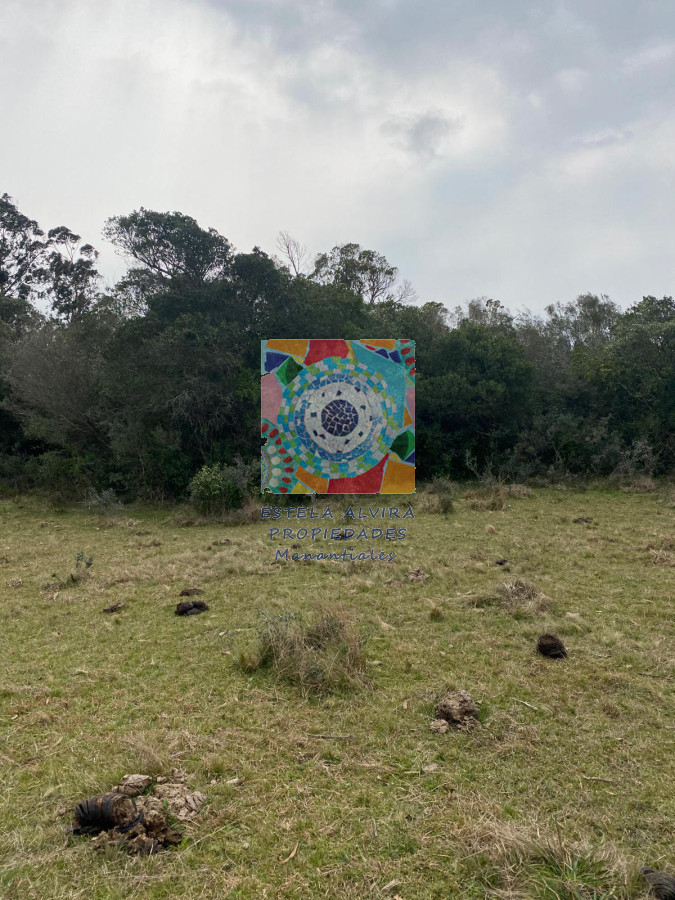 Chacra ID.14480 - 