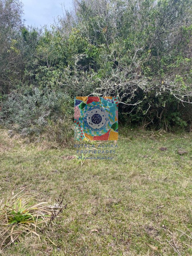 Chacra ID.14480 - 