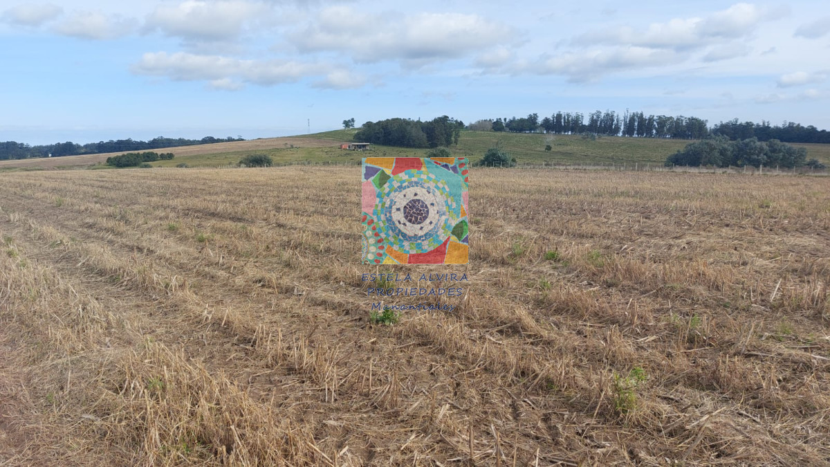 Campo Ref.14453 - Campo en Maldonado, 