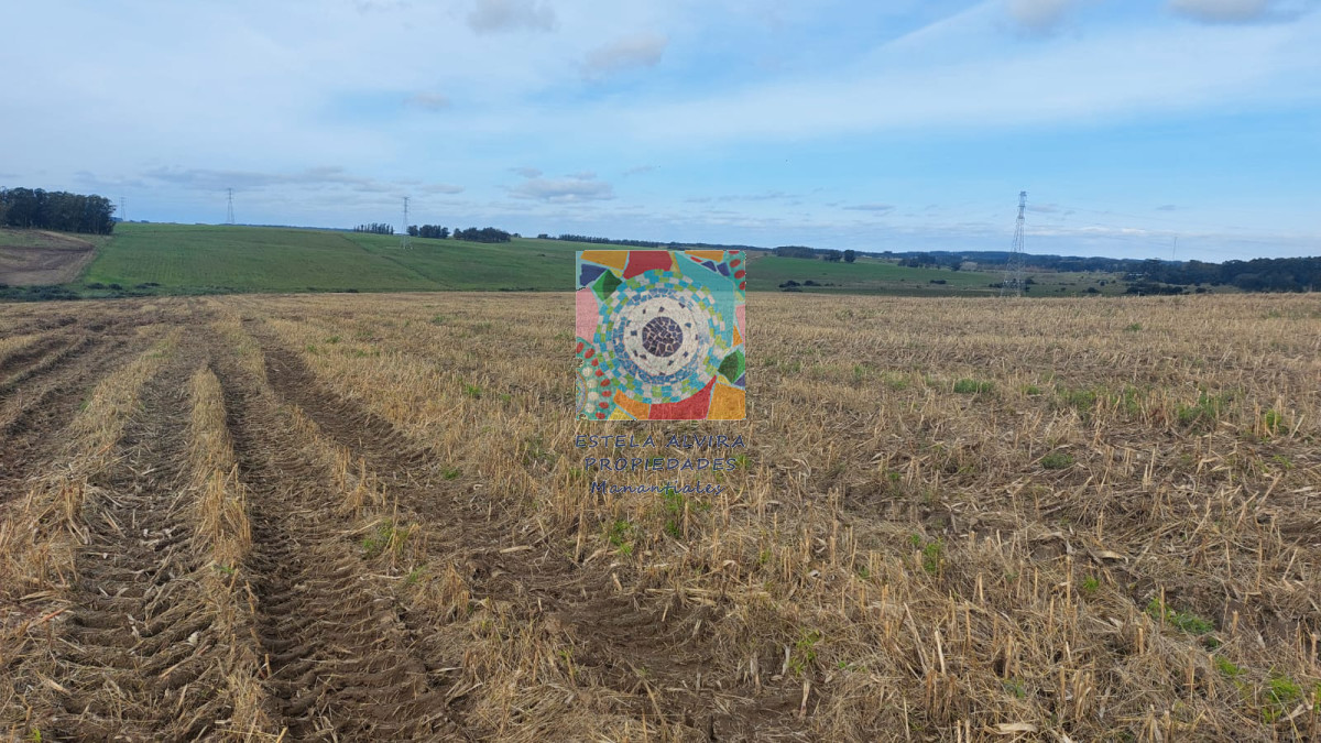 Campo Ref.14453 - Campo en Maldonado, 