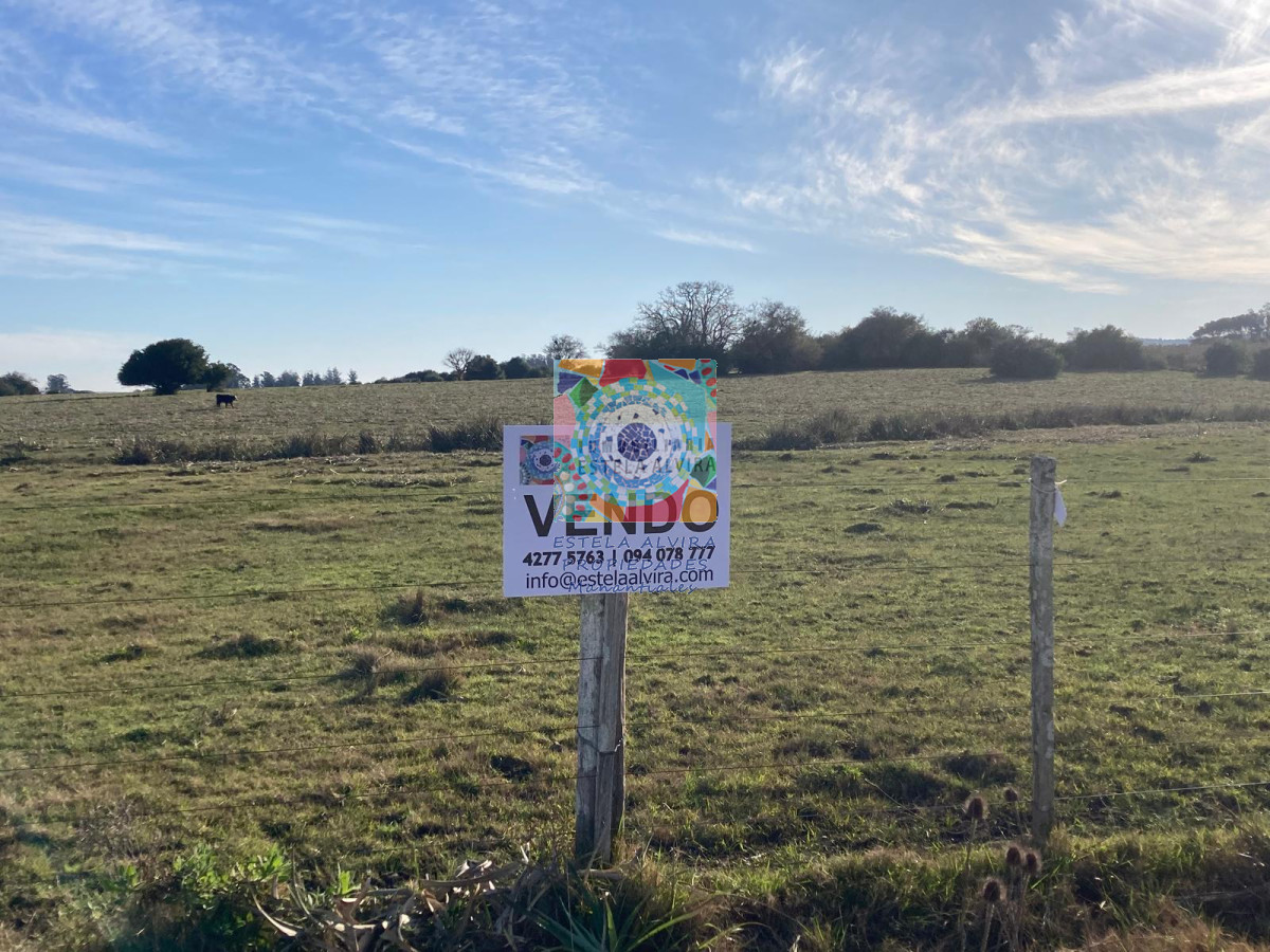 Campo Ref.14446 - Campo en Pueblo Eden, 