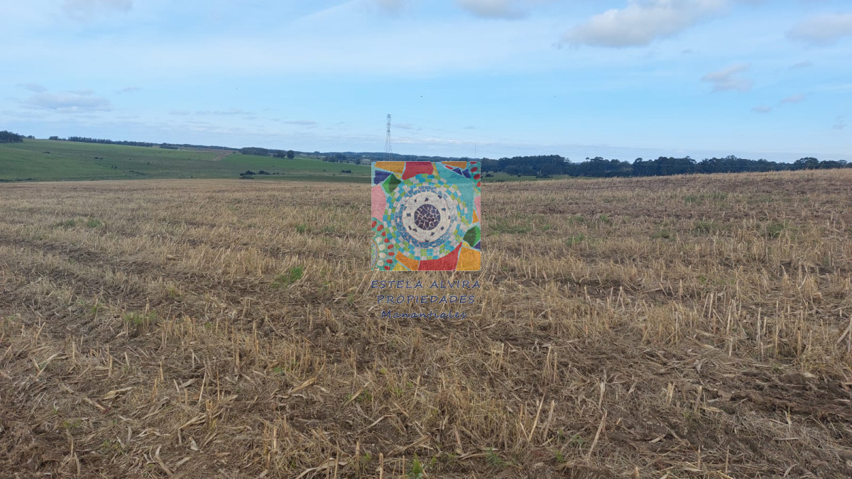 Campo Ref.14453 - Campo en Maldonado, 