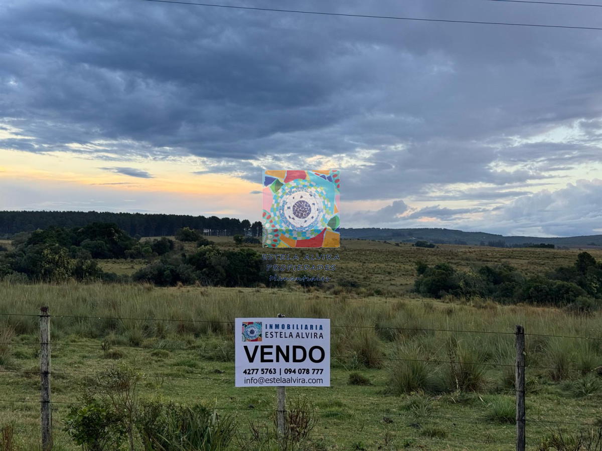 Campo Ref.14523 - Campo en Garzón, 