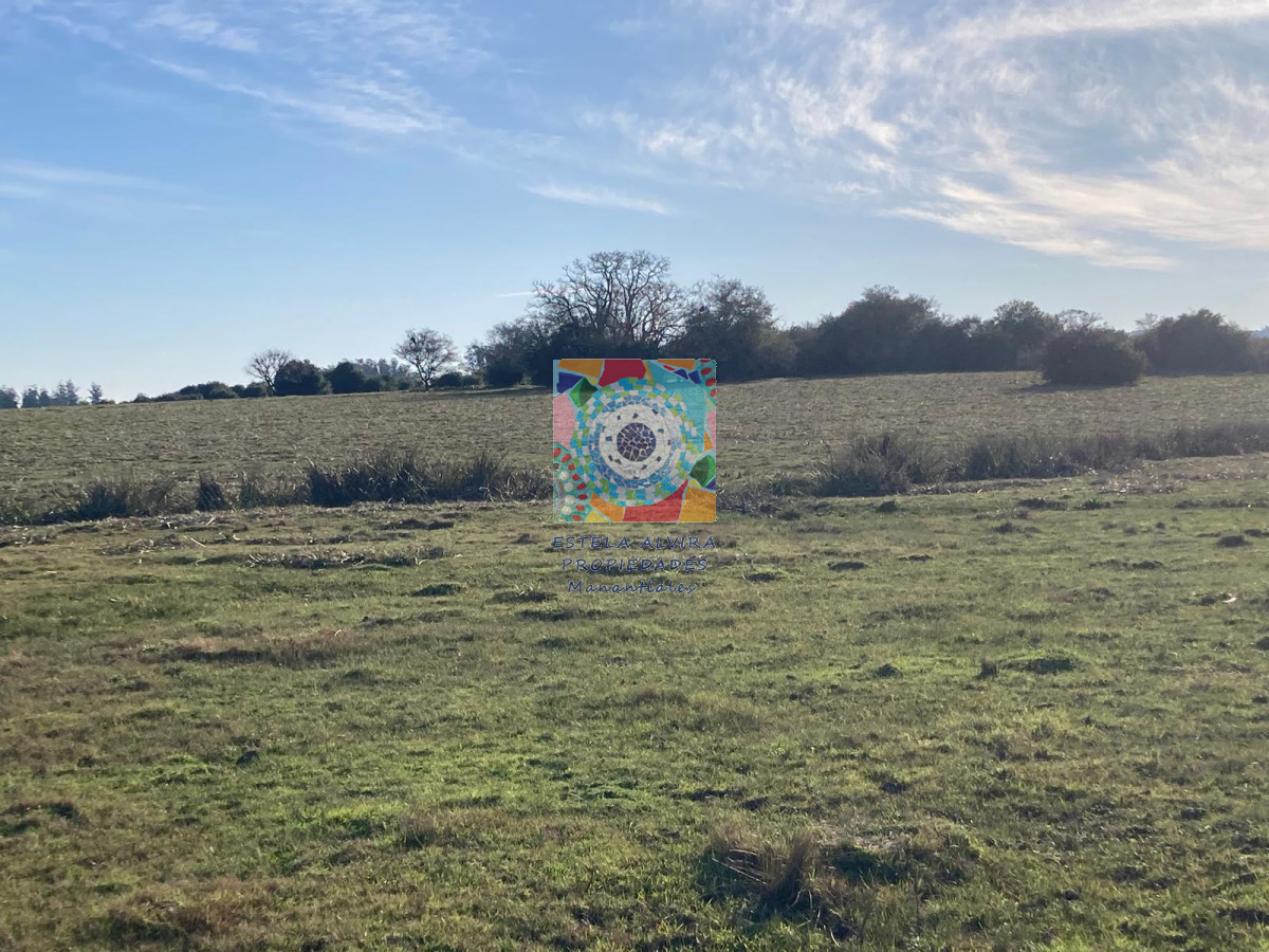 Campo Ref.14446 - Campo en Pueblo Eden, 