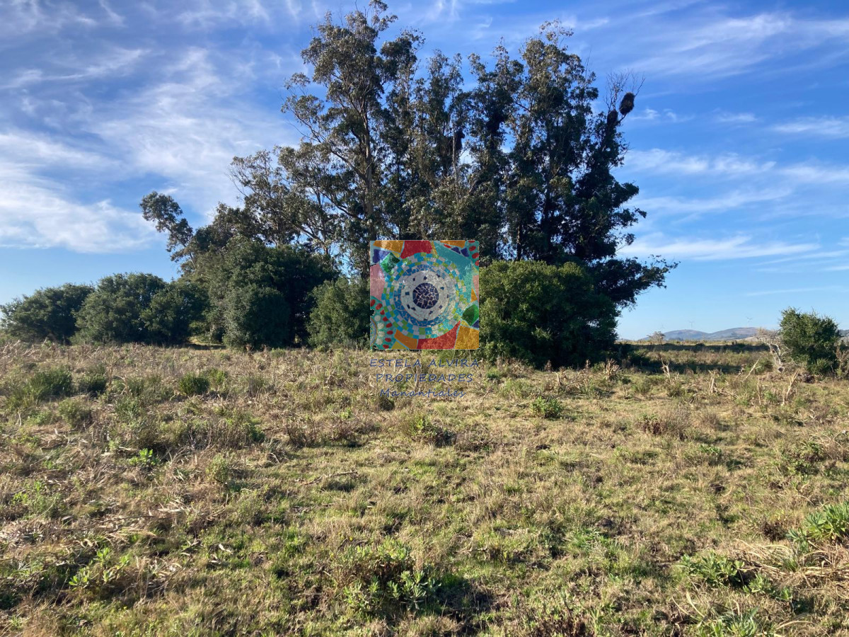 Campo Ref.14443 - Campo en Pueblo Eden, 