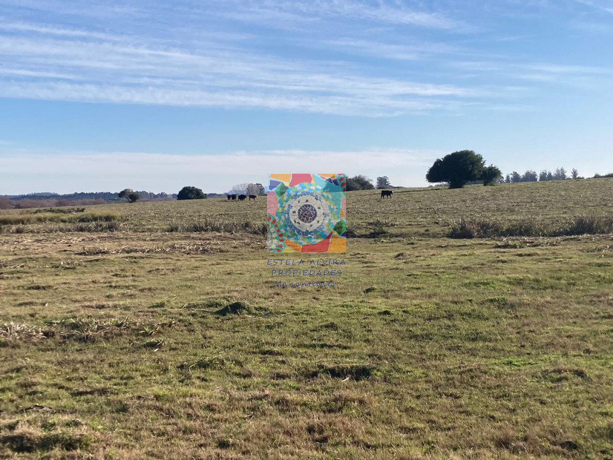 Campo Ref.14446 - Campo en Pueblo Eden, 