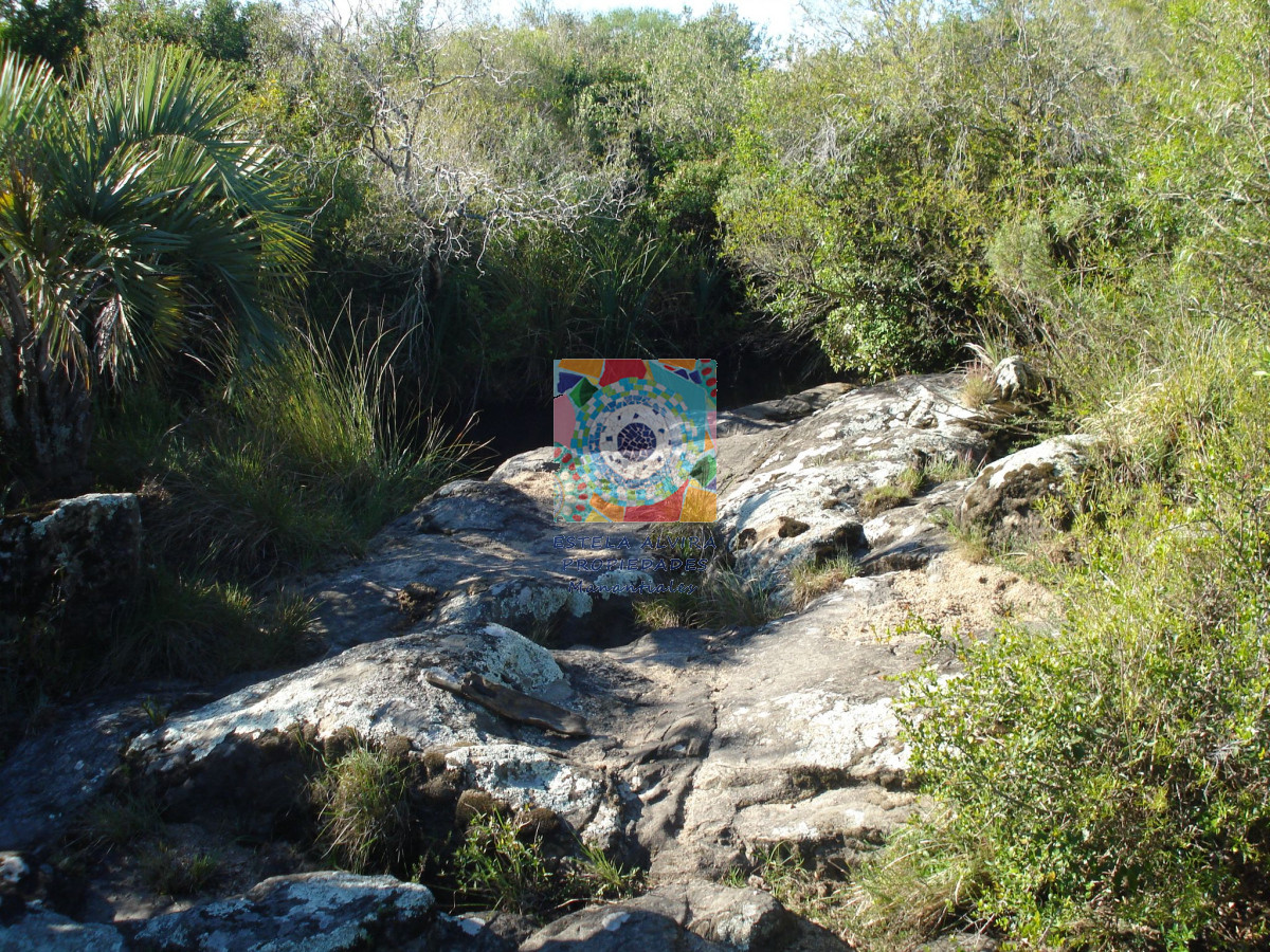 Campo Ref.14528 - Campo en Maldonado, 