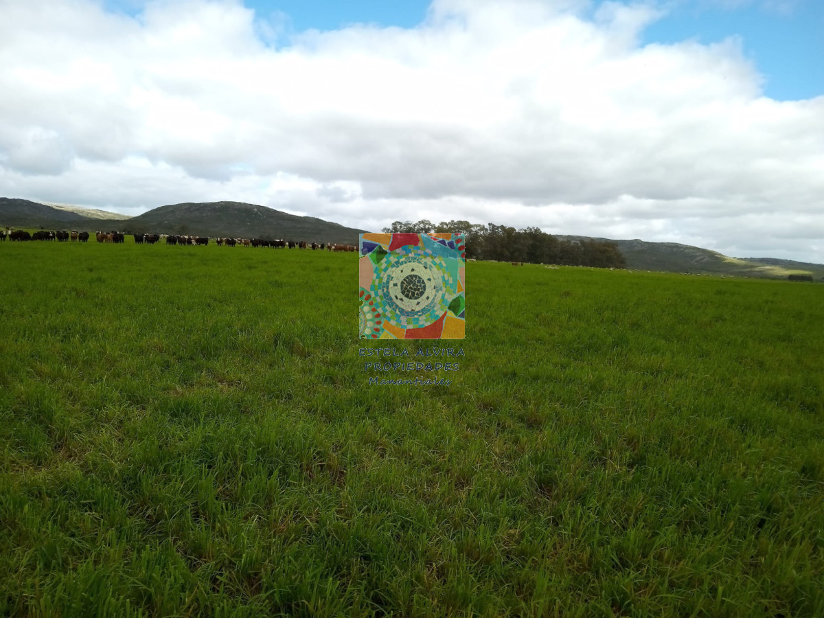 Campo Ref.14558 - Campo en , 