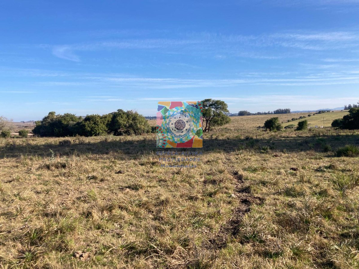 Campo Ref.14443 - Campo en Pueblo Eden, 