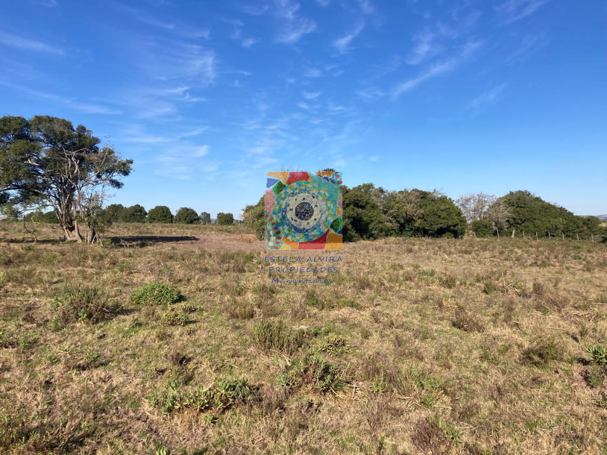Campo Ref.14443 - Campo en Pueblo Eden, 