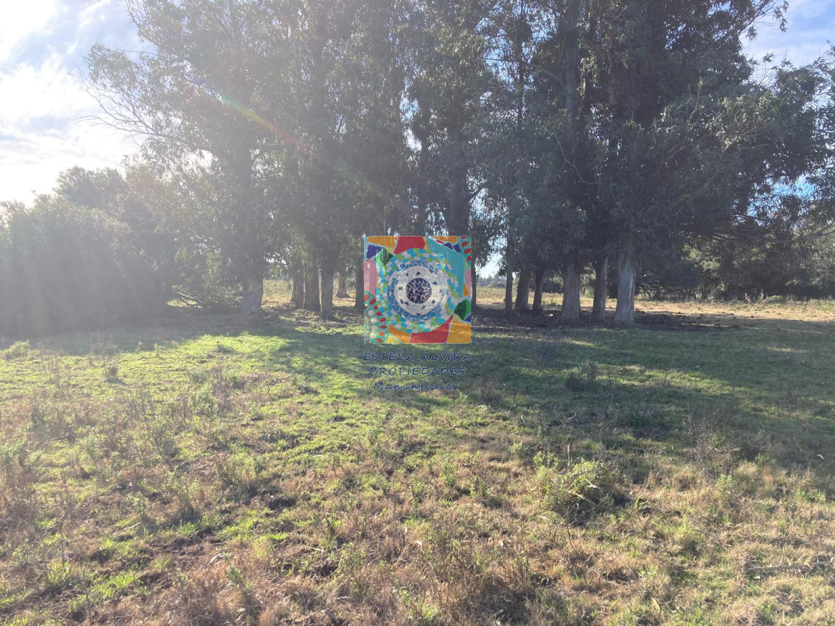 Campo Ref.14443 - Campo en Pueblo Eden, 