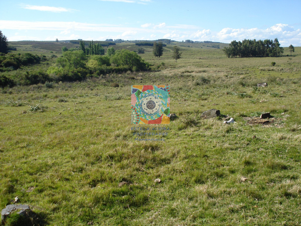 Campo Ref.14528 - Campo en Maldonado, 