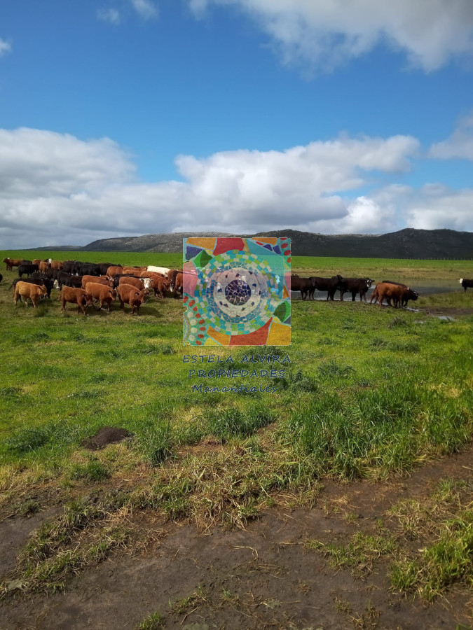 Campo Ref.14558 - Campo en , 