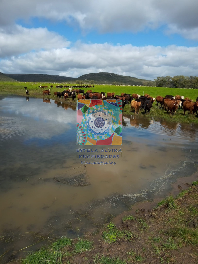 Campo Ref.14558 - Campo en , 