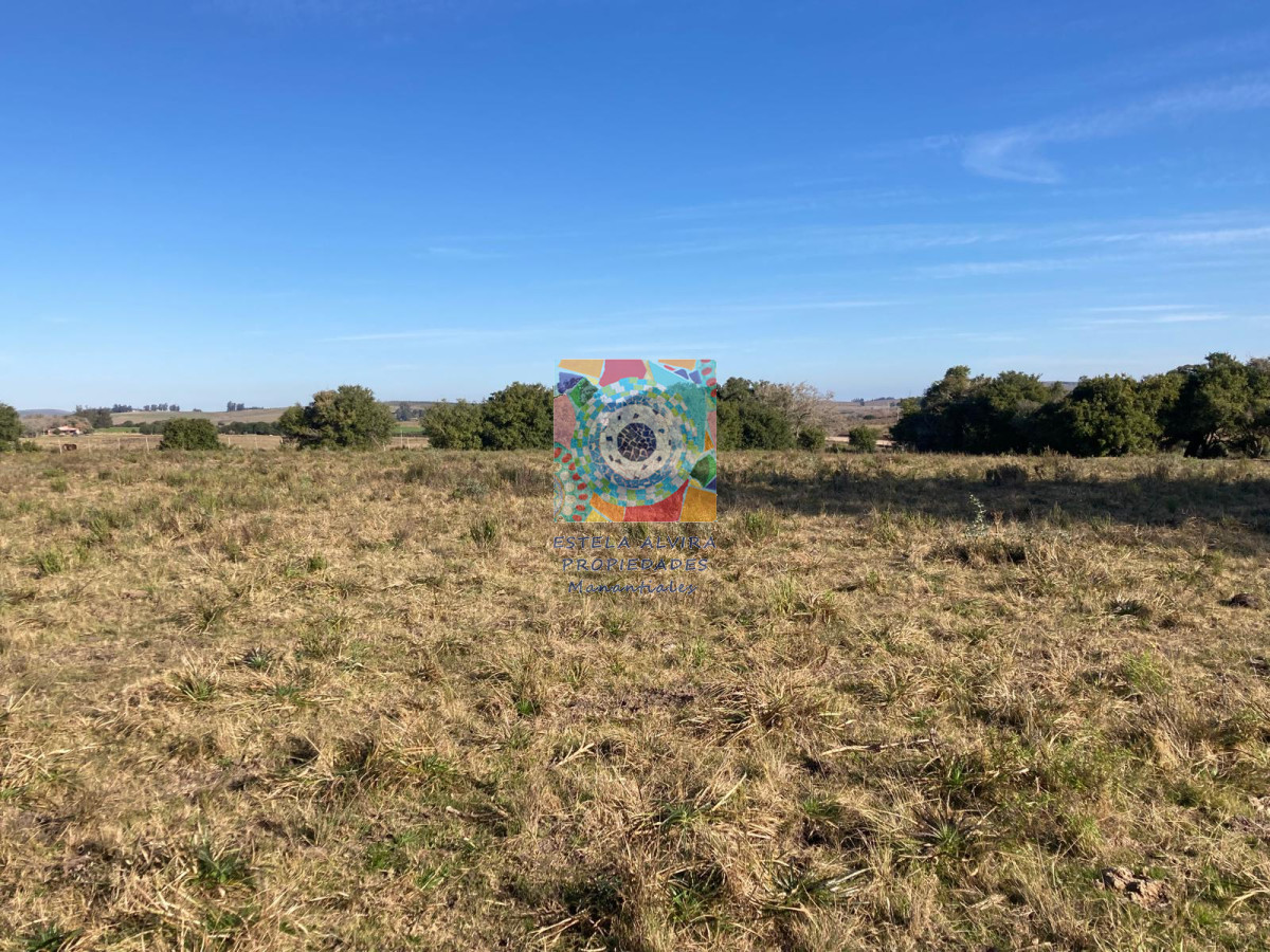 Campo Ref.14443 - Campo en Pueblo Eden, 