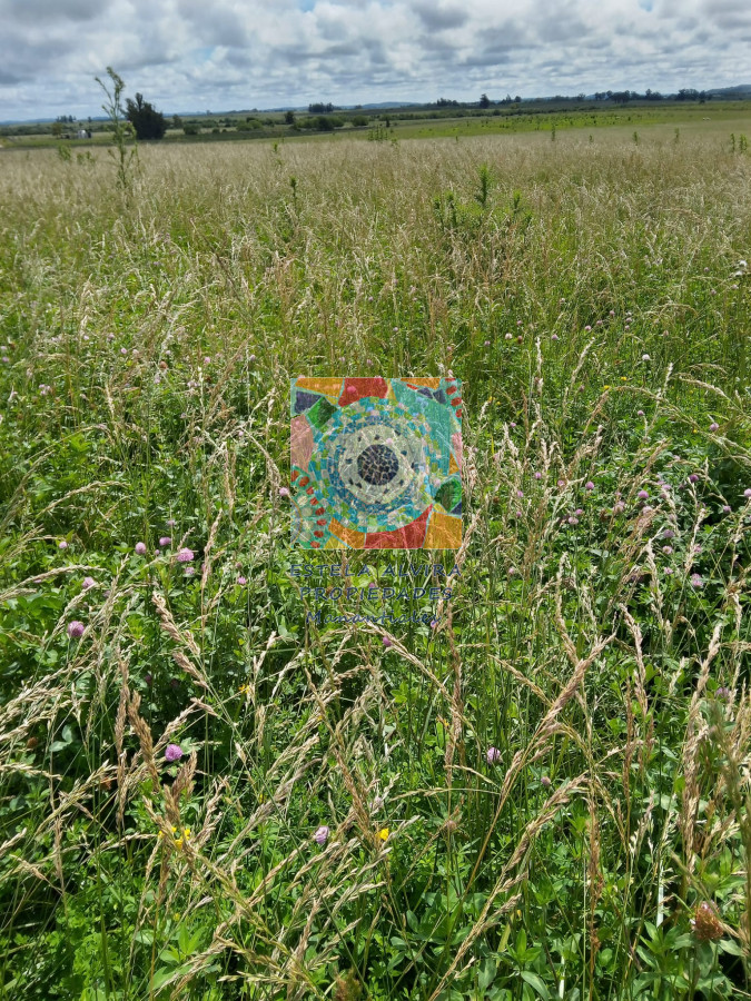 Campo Ref.14558 - Campo en , 