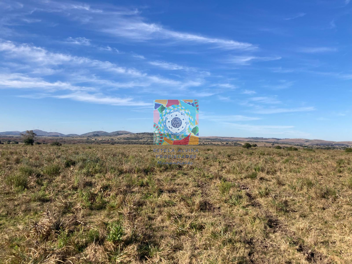 Campo Ref.14443 - Campo en Pueblo Eden, 