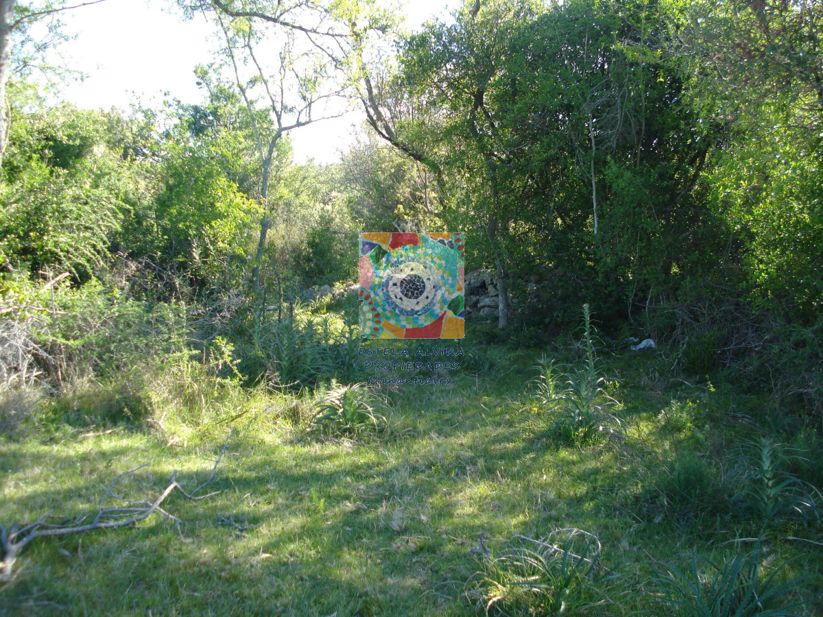 Campo Ref.14528 - Campo en Maldonado, 