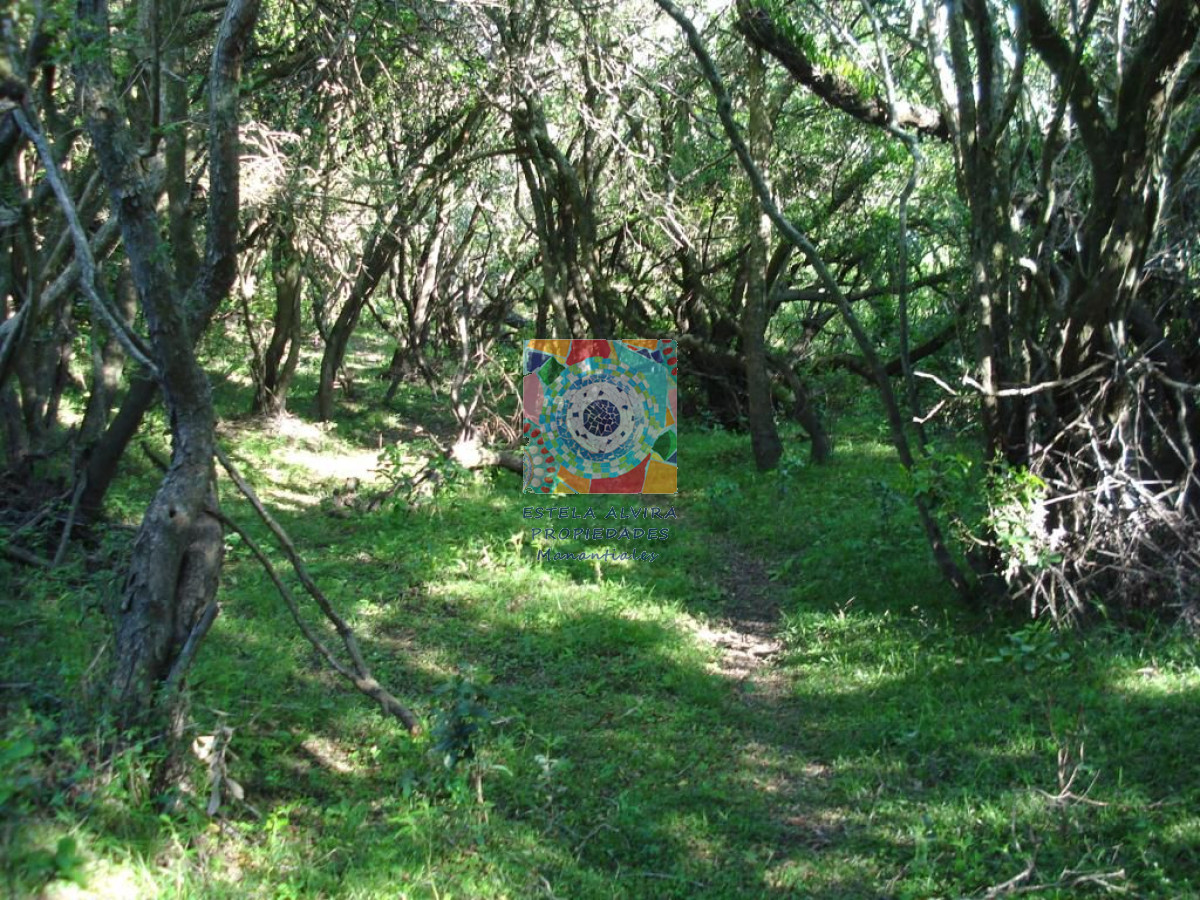 Campo Ref.14528 - Campo en Maldonado, 