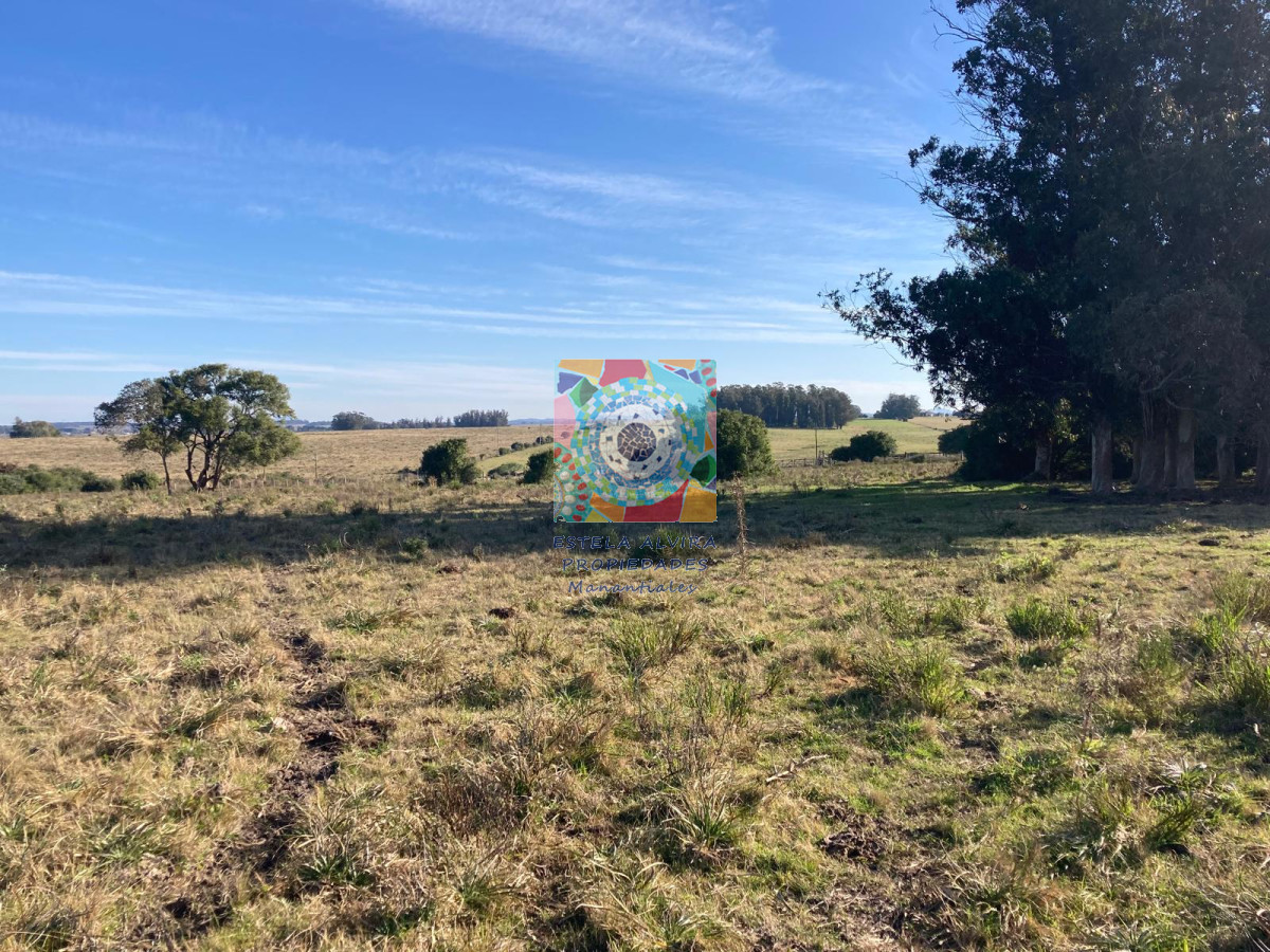 Campo Ref.14443 - Campo en Pueblo Eden, 