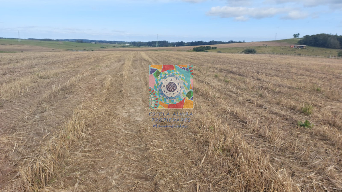 Campo Ref.14453 - Campo en Maldonado, 
