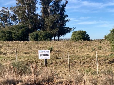 Campo en Pueblo Eden, 