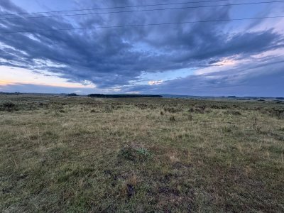 Campo en Garzón, 