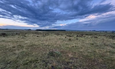 Campo en Garzón,