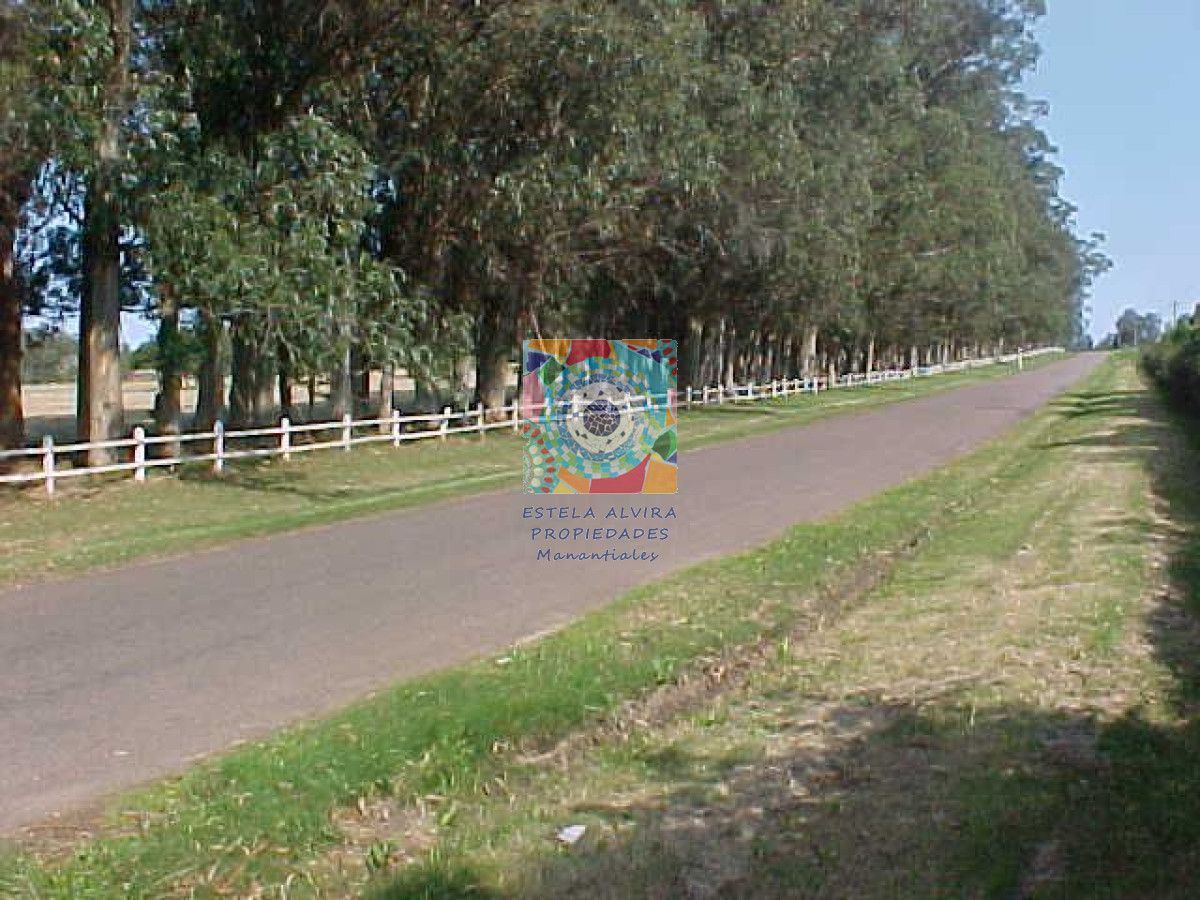El Tesoro - GoPunta - Portal Inmobiliario de Punta del Este - Maldonado