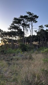 Terreno en La Barra, Club de La Barra