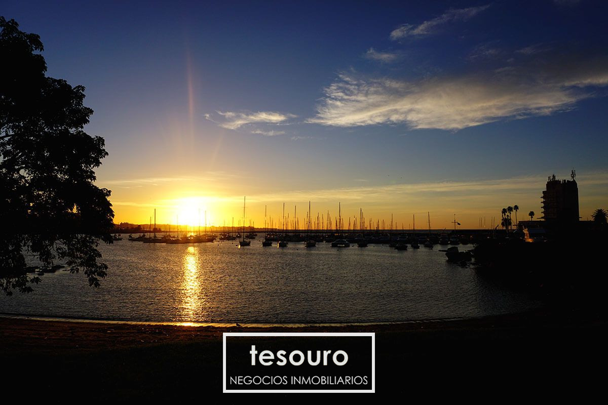 Apartamento ID.3647 - VENTA MONOAMBIENTE - BUCEO 