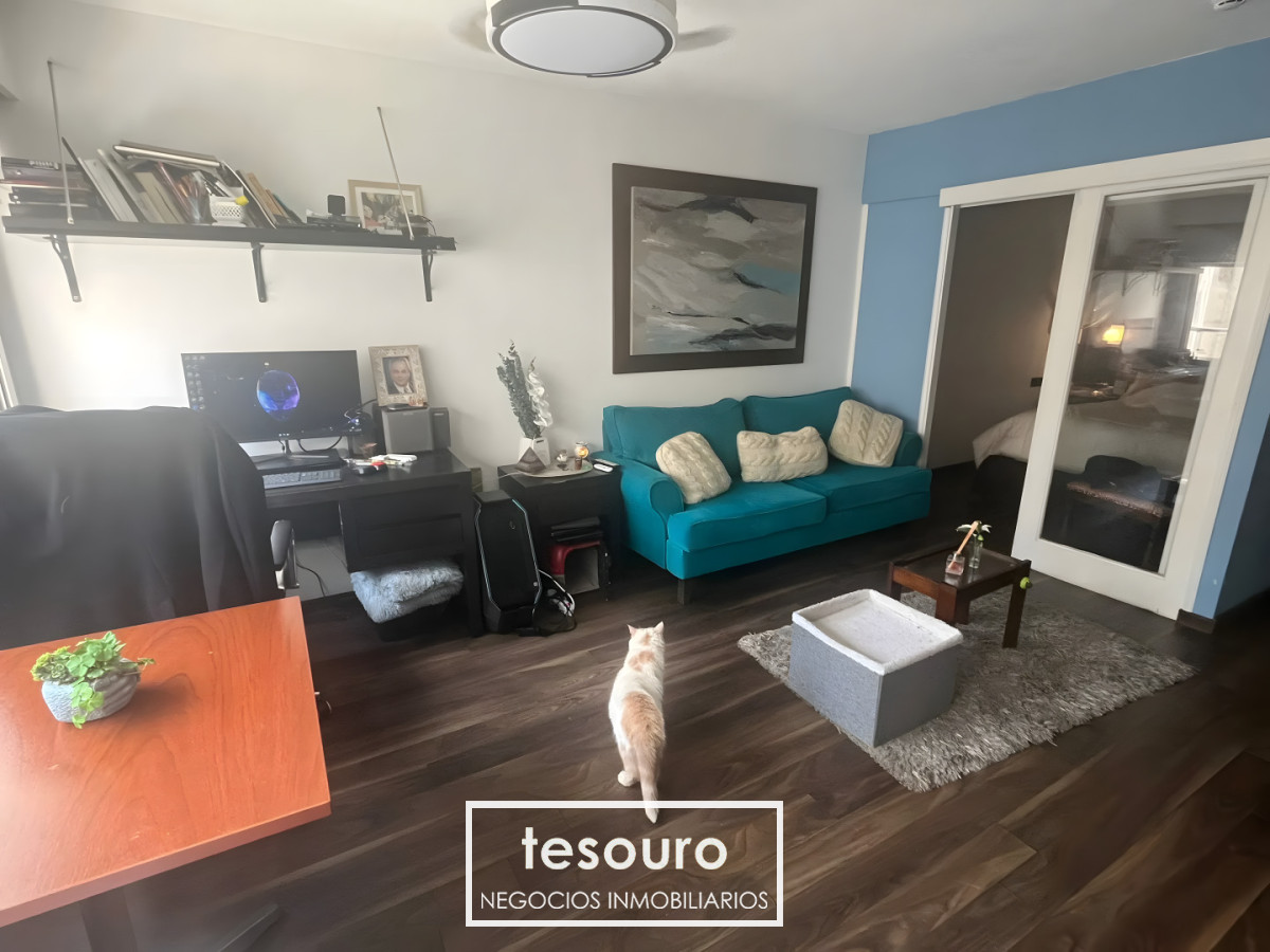 Apartamento ID.5369 - VENTA MONOAMBIENTE CON DIVISIÓN EN PUNTA CARRETAS