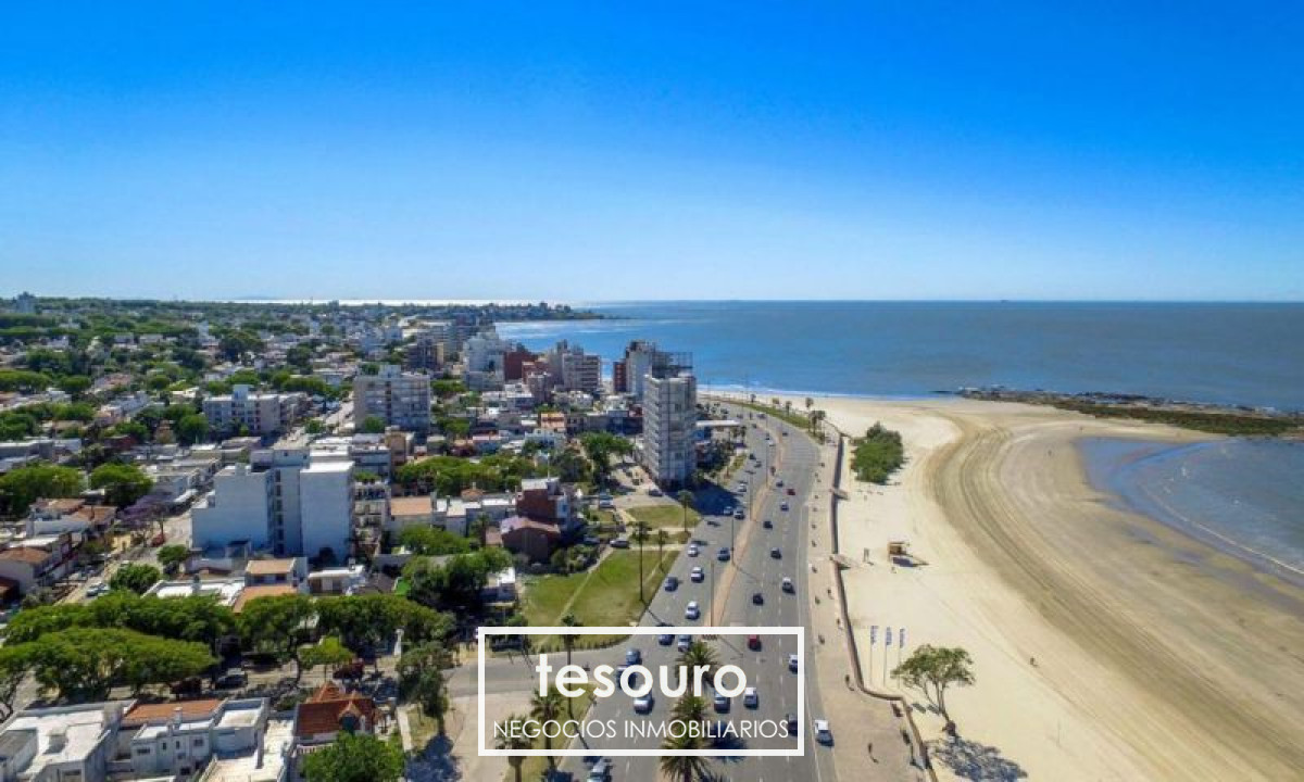 Apartamento ID.1146 - APARTAMENTO EN VENTA 1 DORMITORIO - MALVIN