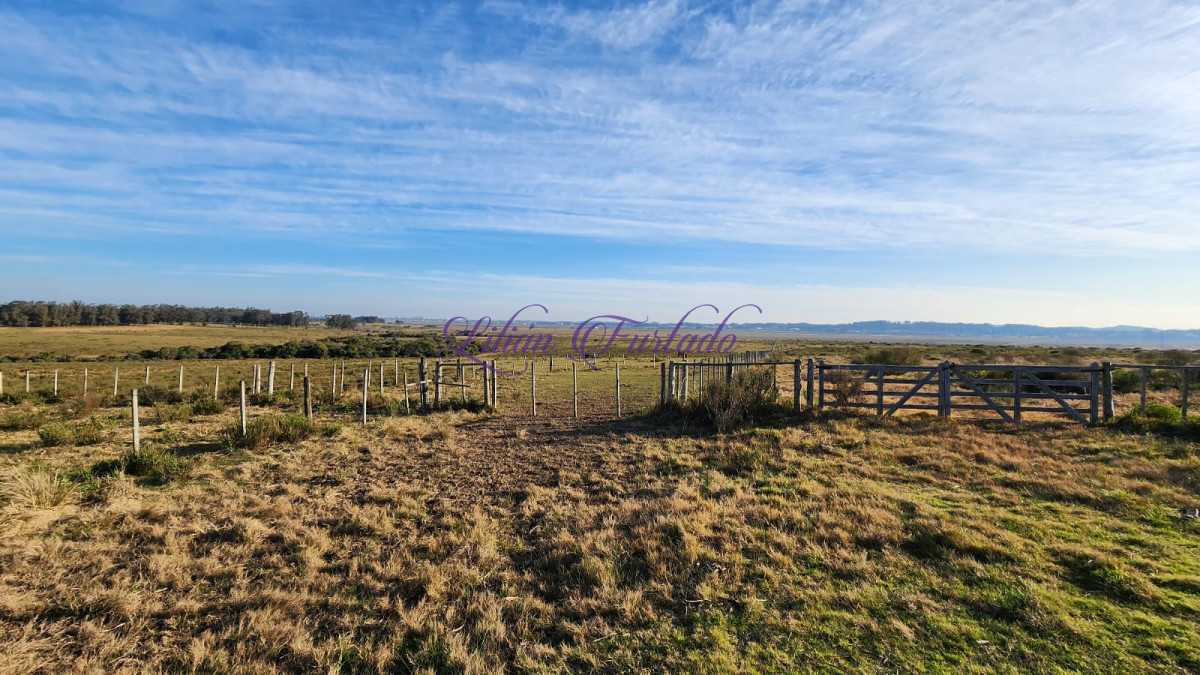 En venta 200 hectáreas al lado de hotel Fasano, ideal para fraccionamiento. - GoPunta - Portal Inmobiliario de Punta del Este - Maldonado