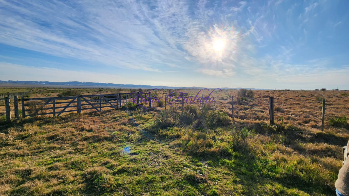 En venta 200 hectáreas al lado de hotel Fasano, ideal para fraccionamiento. - GoPunta - Portal Inmobiliario de Punta del Este - Maldonado