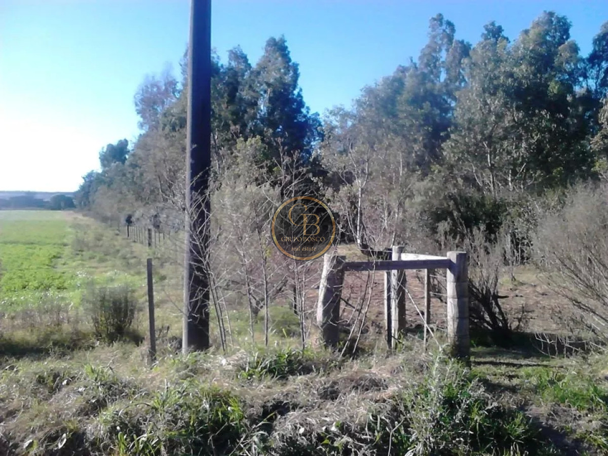 Chacra ID.1226 - Venta de Chacra  de 3 hectareas en zona Atlantida