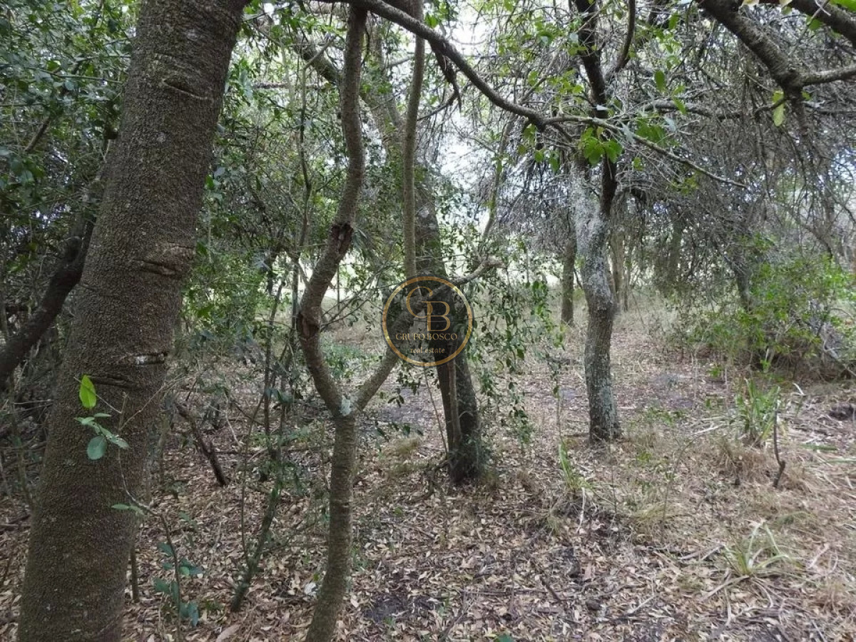 Chacra ID.1219 - Venta de Chacra en Estación La Floresta