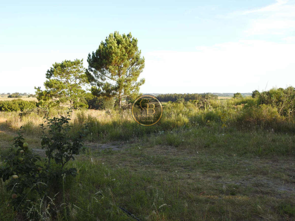 Chacra ID.1219 - Venta de Chacra en Estación La Floresta