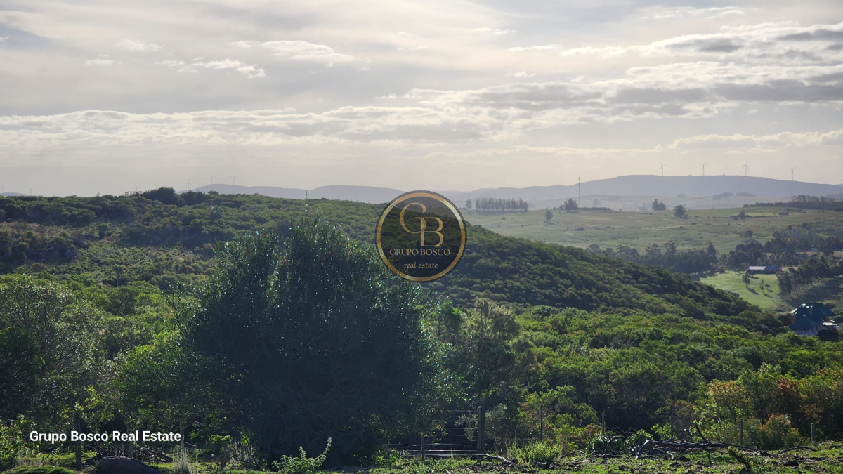 Chacra ID.999 - VENTA  Hermosa Chacra en Las Cañas.