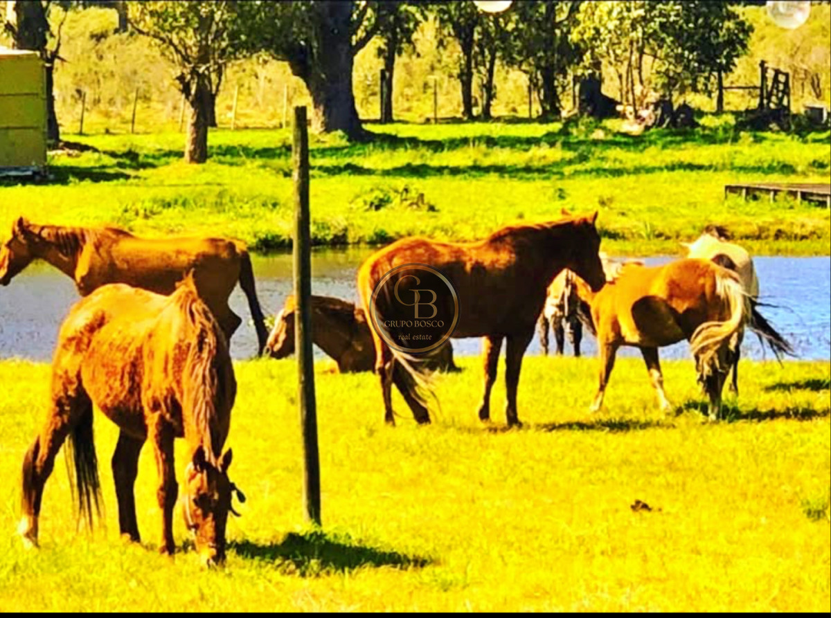 Chacra ID.1444 - Venta, Hotel Chacra. ruta 104, Manantiales.