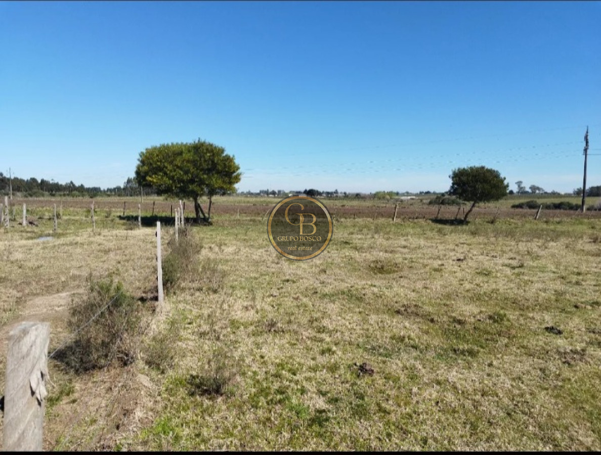 Chacra ID.1227 - Venta de Chacra 5.9 Hectareas en Atlantida