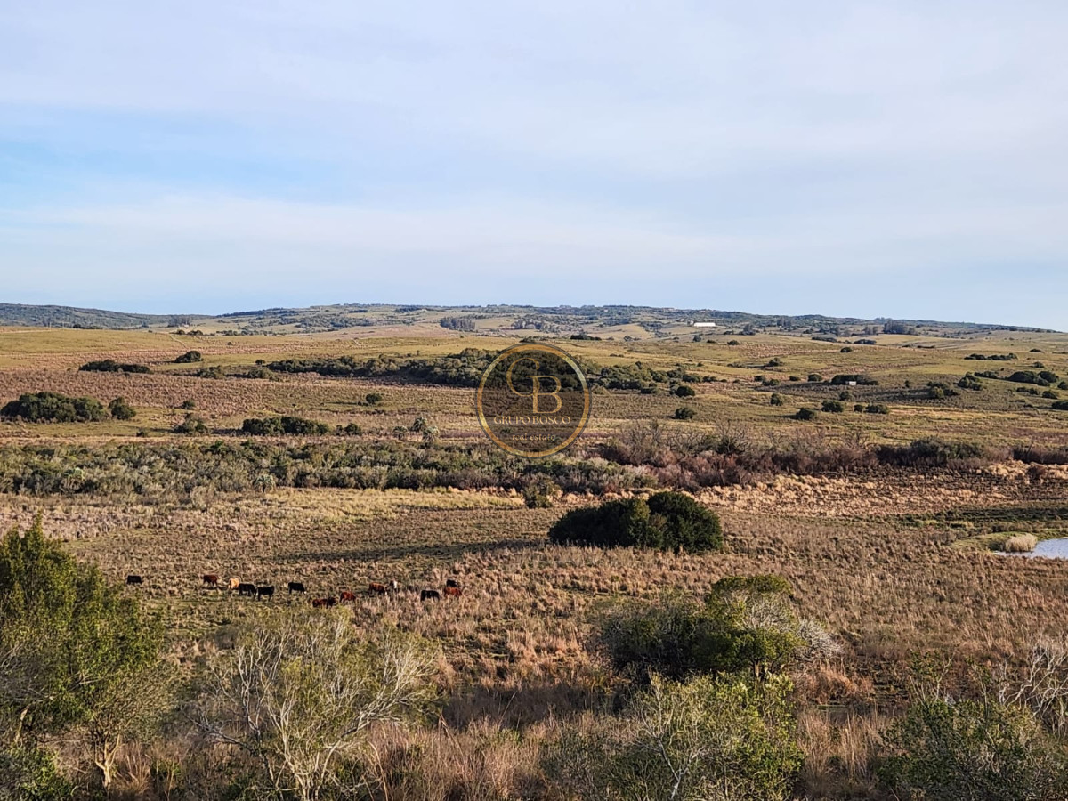 Chacra ID.1060 - Chacra en Venta (36 hectáreas ), Garzón