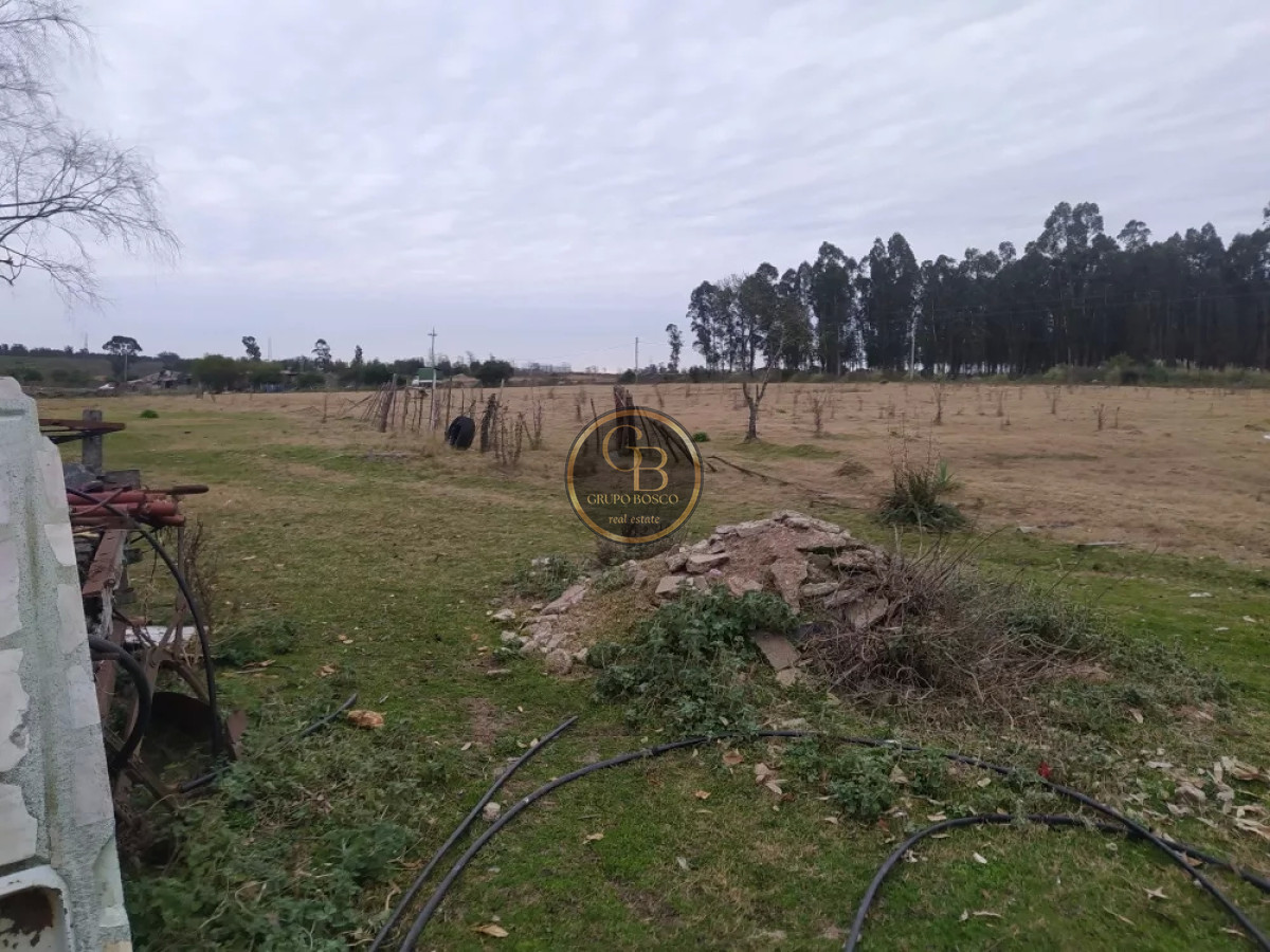 Chacra ID.1225 - Venta de Chacra de 5 has en Pando 