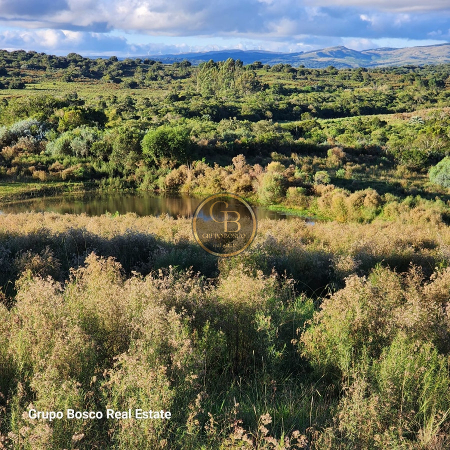 Chacra ID.1104 - Chacra en venta o alquiler