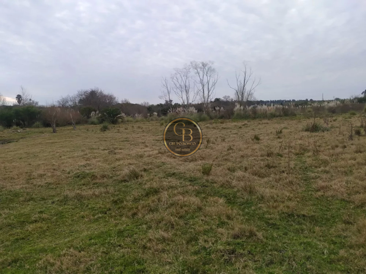 Chacra ID.1225 - Venta de Chacra de 5 has en Pando 